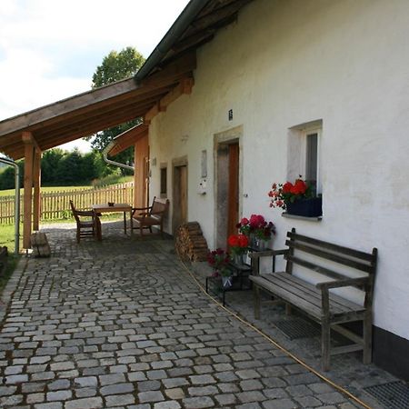 Ferienhaus Winter Blaibach Exterior foto
