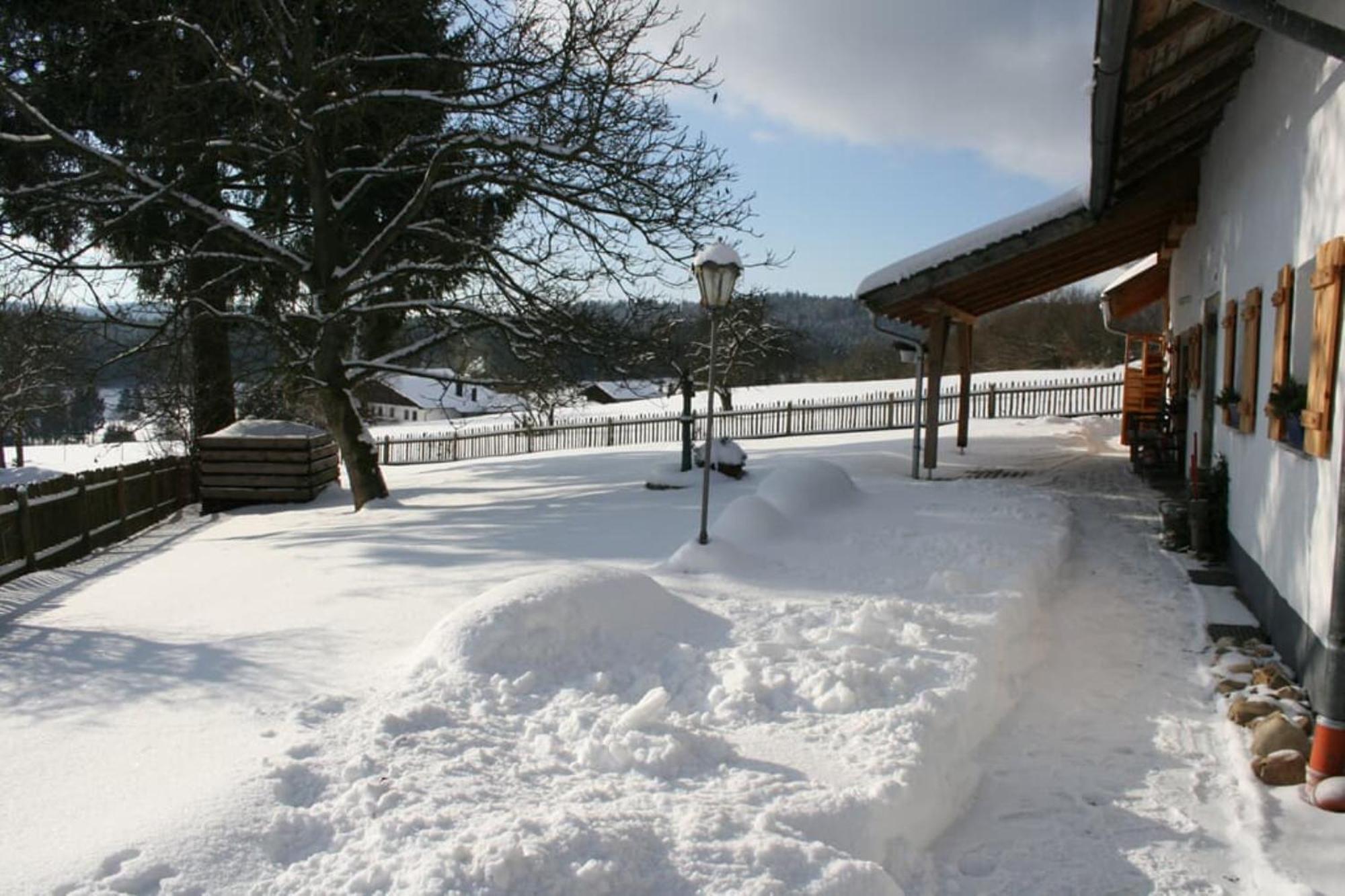 Ferienhaus Winter Blaibach Exterior foto